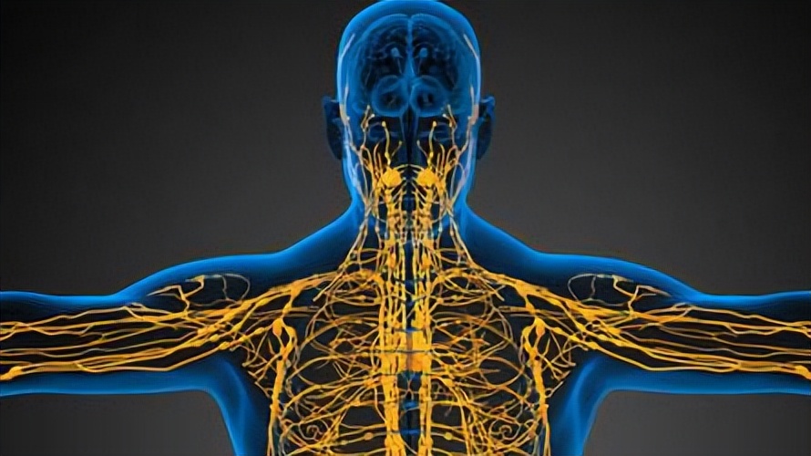 瑜伽老师教的是什么瑜伽,瑜伽士与瑜伽教练的区别