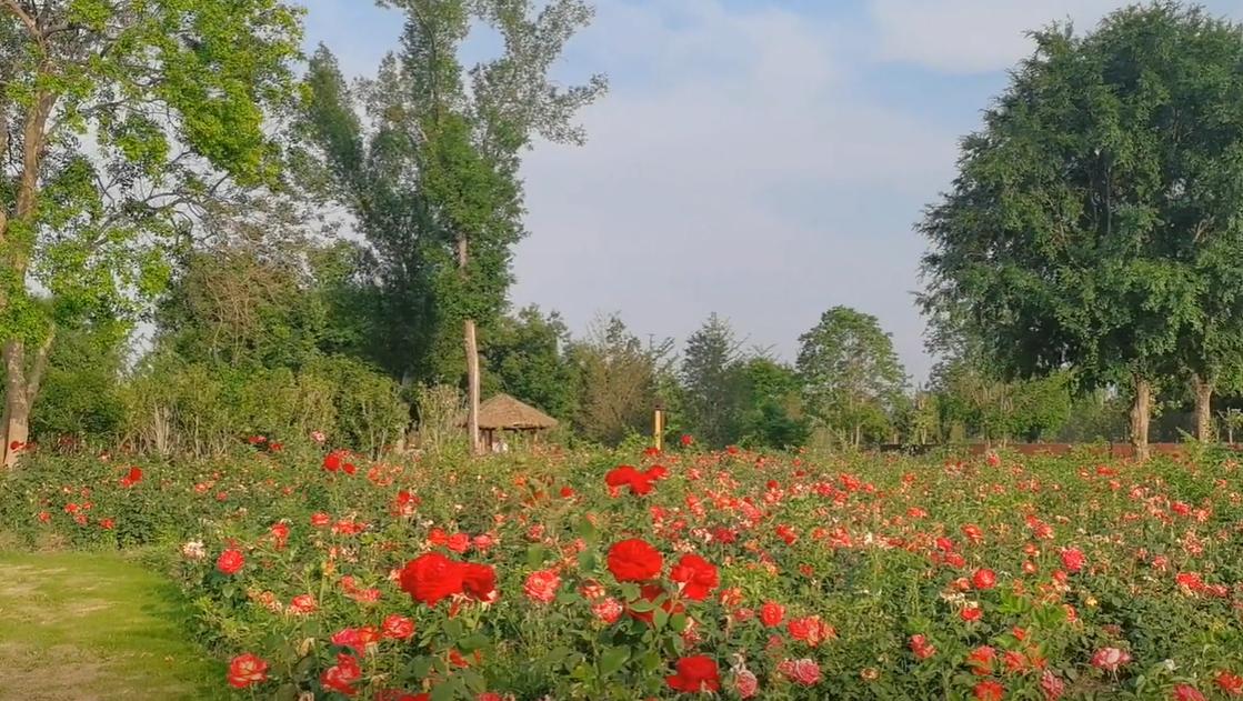 郑州出发暑假东北三省自驾游攻略,郑州出发山西自驾游线路推荐五天
