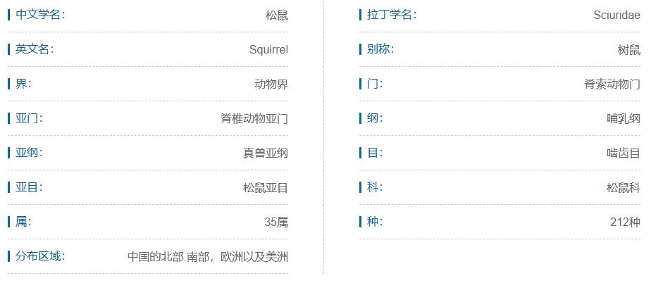 素食宠物食品,素食宠物零食有哪些品种