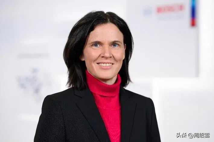 博世壁挂炉业绩情况,2023博世净利润