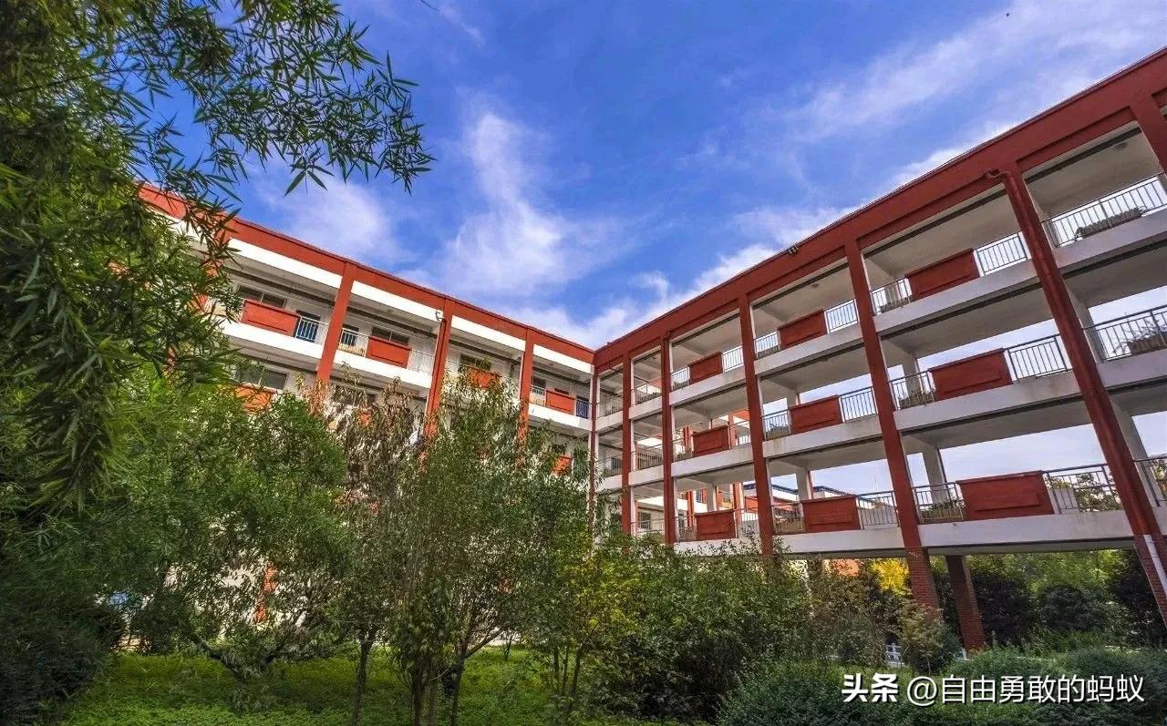 2020洛阳改扩建哪8所学校,2018年洛阳新建学校