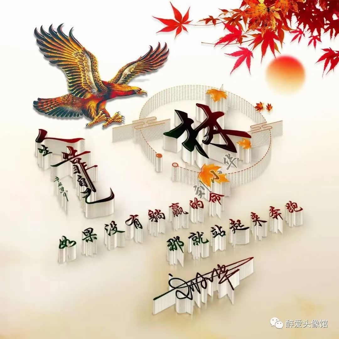 姓氏头像图片2022最霸气,卢姓氏微信头像霸气大全2021