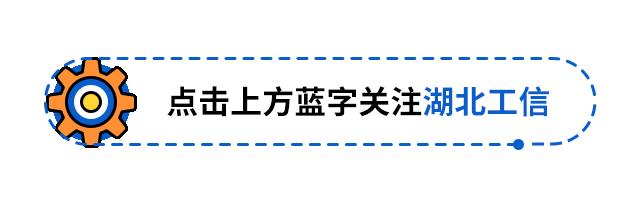 湖北制造业单项冠军,国家制造业单项冠军共多少