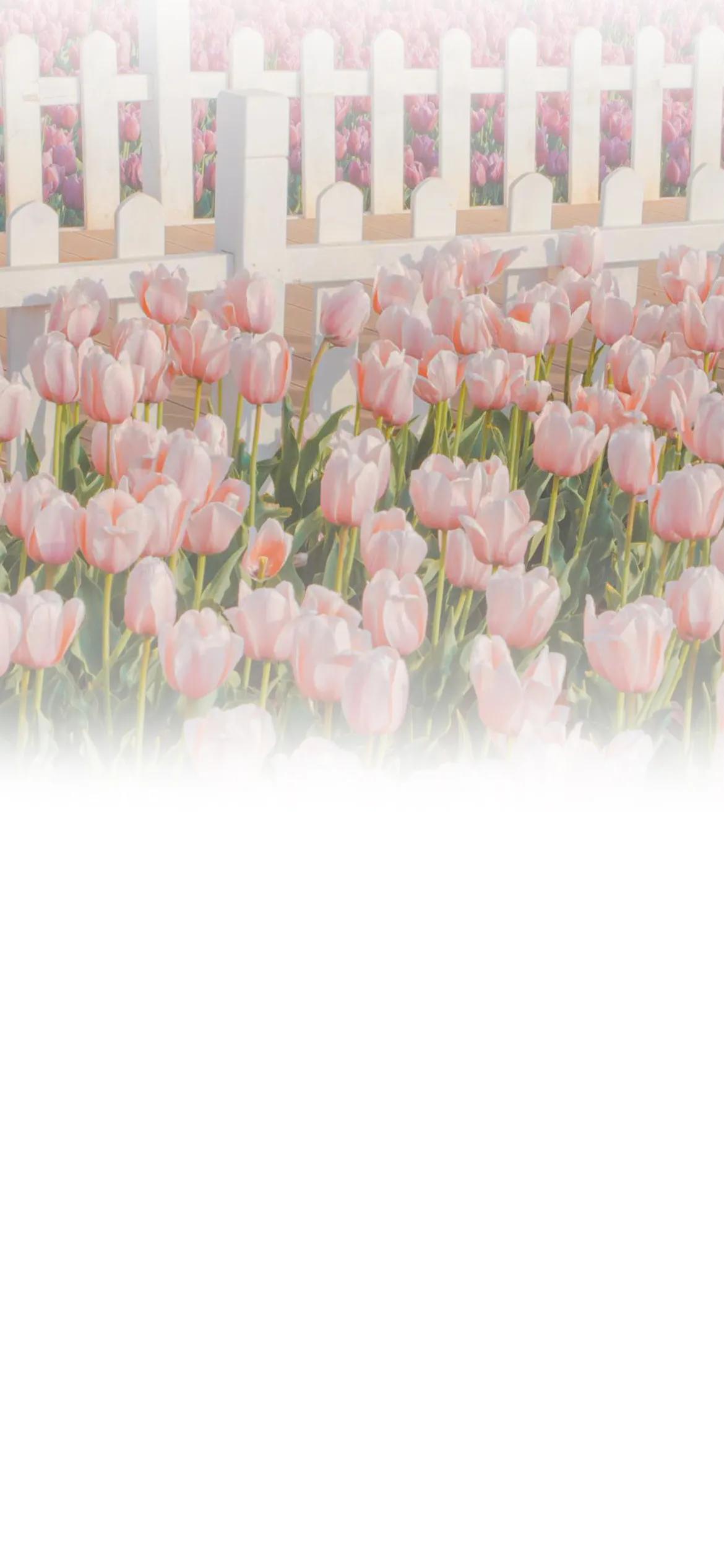 渐变聊天背景图片,纯绿色渐变聊天背景图片