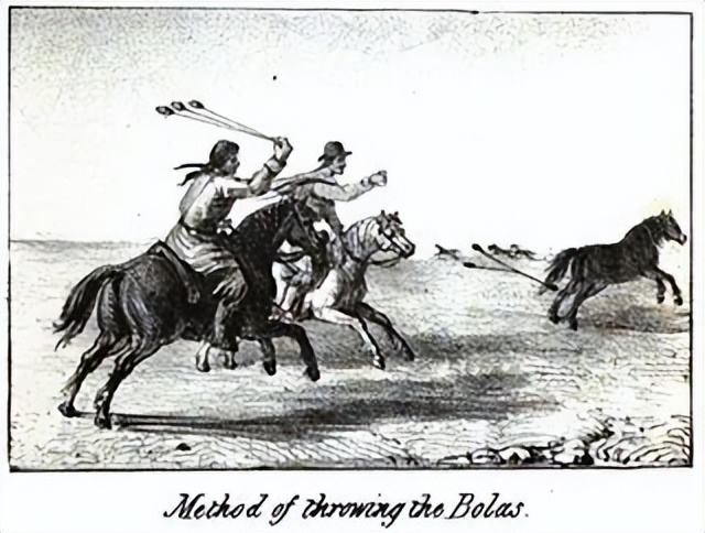 潘帕斯草原的牛仔，孤独与勇敢的化身——高乔人