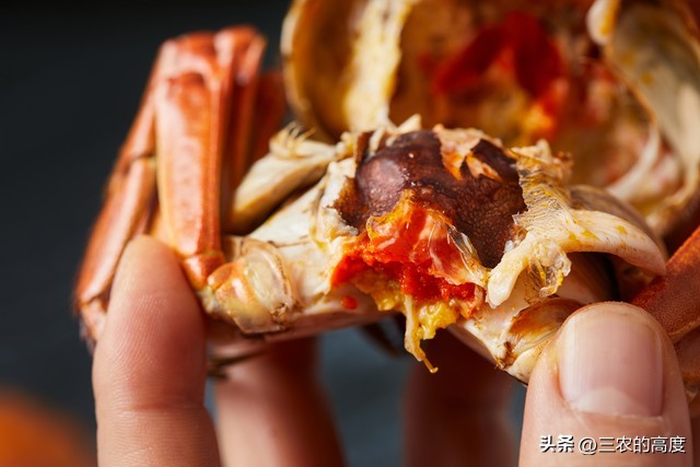 河鲜四大名鱼,最顶级的河鲜鱼