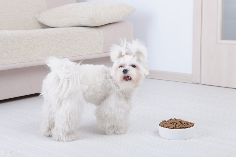 狗狗发蔫嘴张不大,狗狗打肤曲康后发蔫