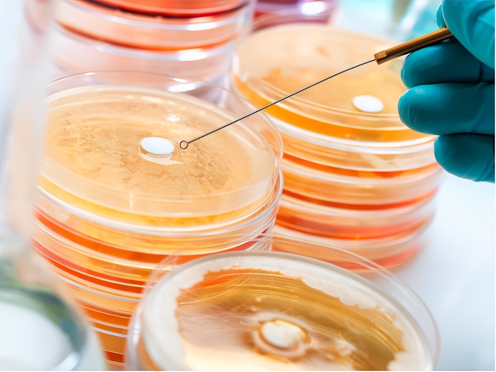 全球瞩目!看发酵技术如何“酵”醒化妆品原料创新?|明·趋势