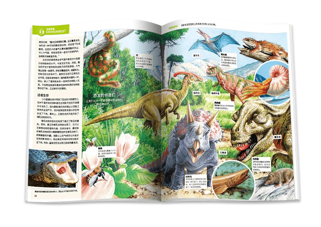 中小学阶段，家长要在阅读资料上做好“断舍离”，三类杂志少不了