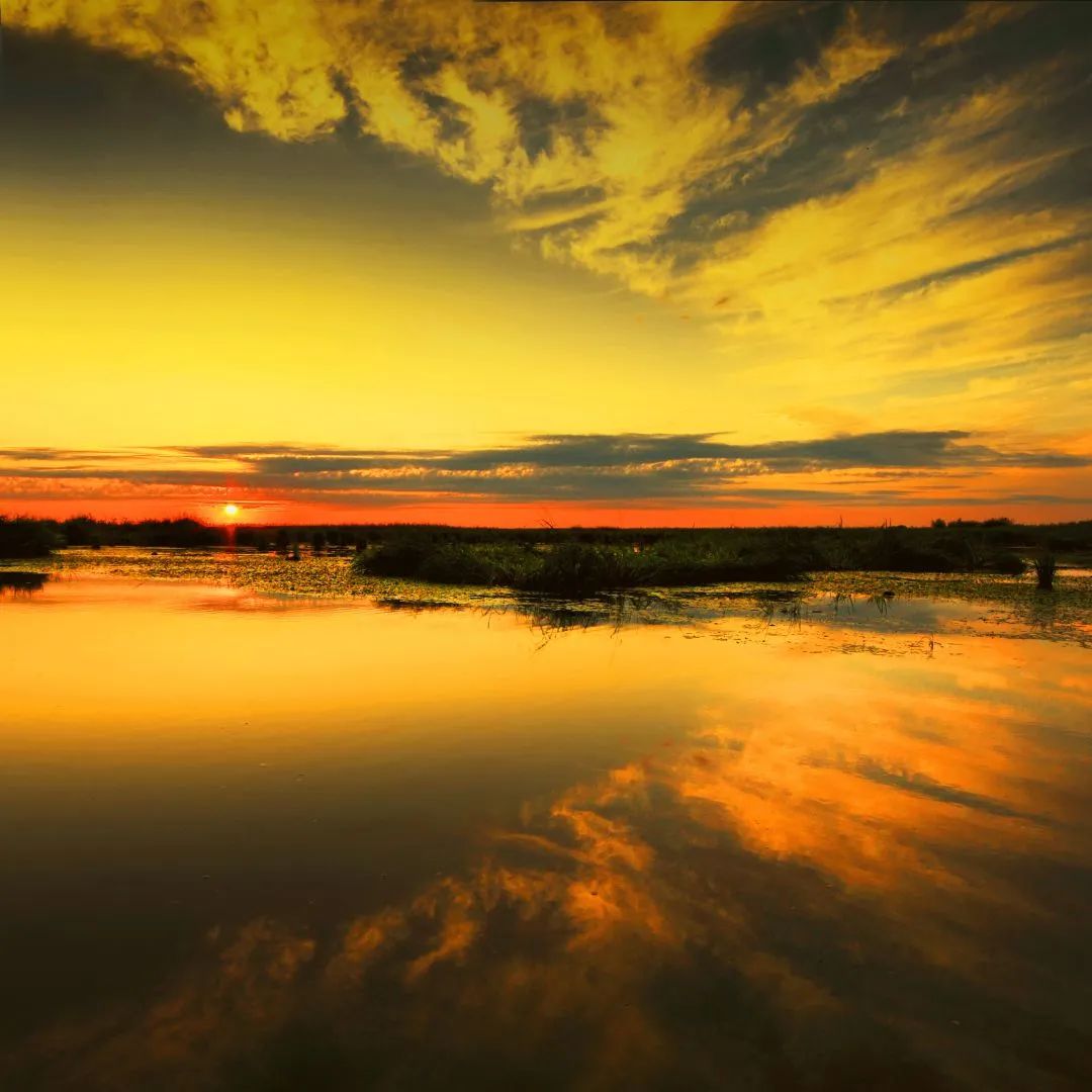 湿地可以开发什么旅游项目,黑龙江旅游必去十大湿地排名