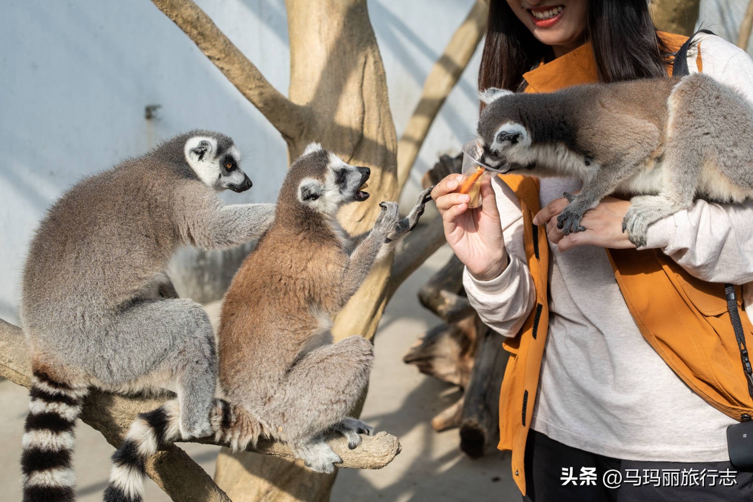 宿州到底有多好耍,宿州世外桃源好去处