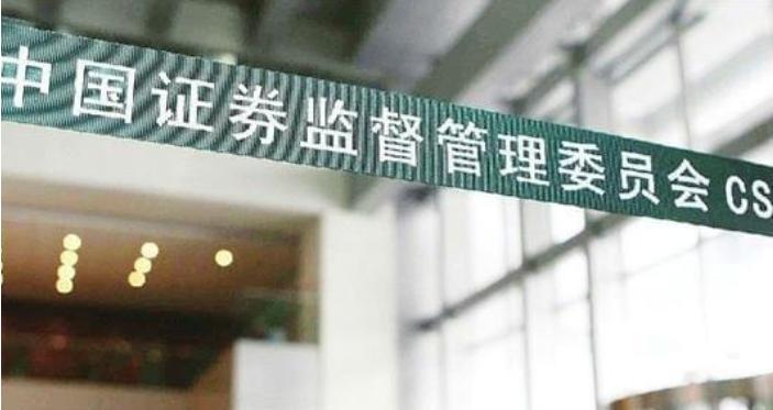 我国“复合肥巨头”金正大：4年造假231亿，8名高管被罚755万