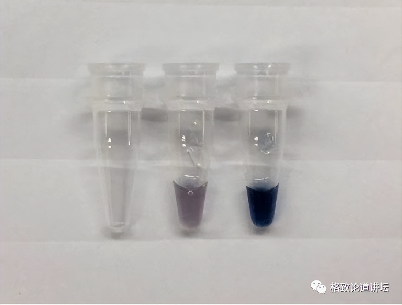 二氧化碳变成淀粉靠谱吗,用二氧化碳合成的淀粉怎样吃