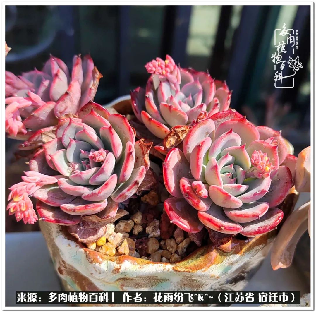 回味童年无忧无虑的快乐时光,童年最快乐的时光