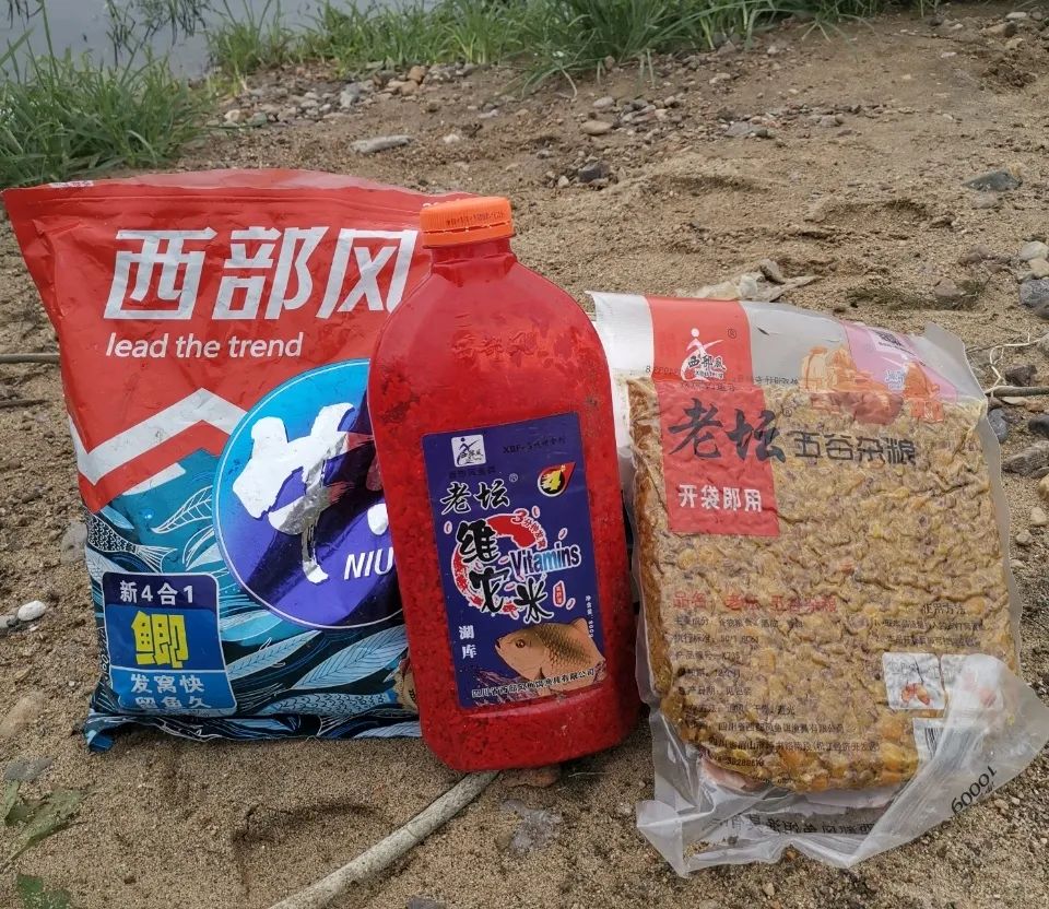 窝子里有鱼就是不咬钩,窝子打好上鱼不愁