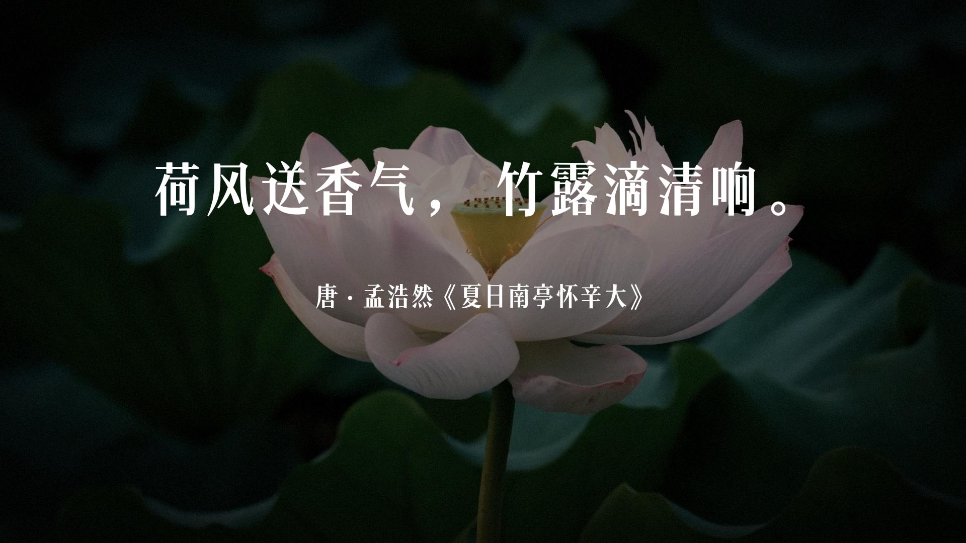 荷风送香气竹露滴清响是写荷花吗,古诗词经典唯美名句关于荷花的