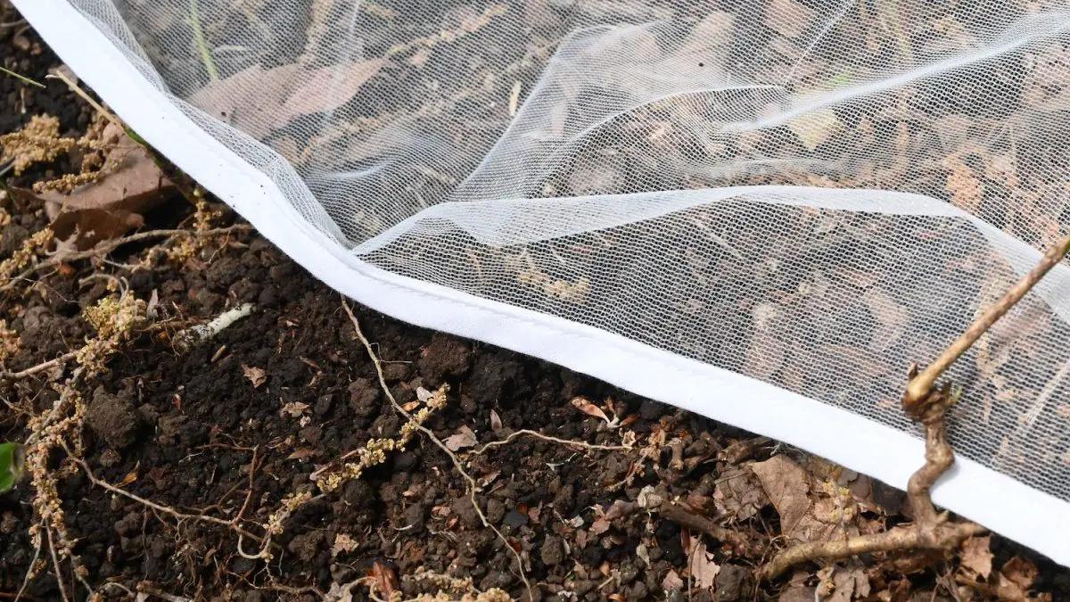 夏天用蚊帐的坏处,冬天可以用蚊帐吗