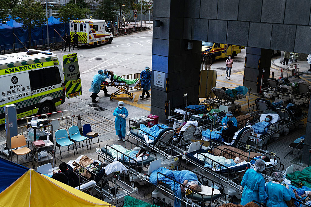 疫情之下保健品行业,疫情之下中医药的发展状况