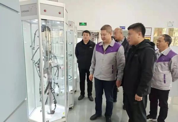 铝产业招商引资行动计划,经开区全力推动招商引资提质增效