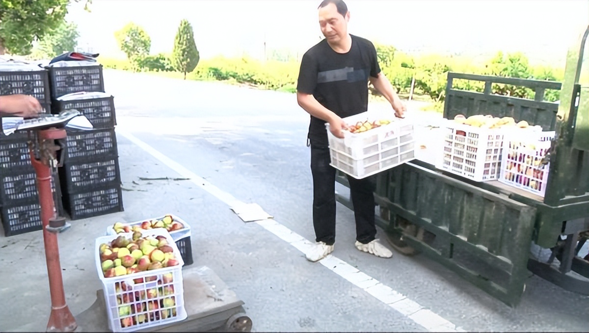 河南南阳内乡县疫情防控,内乡最新疫情防控通知