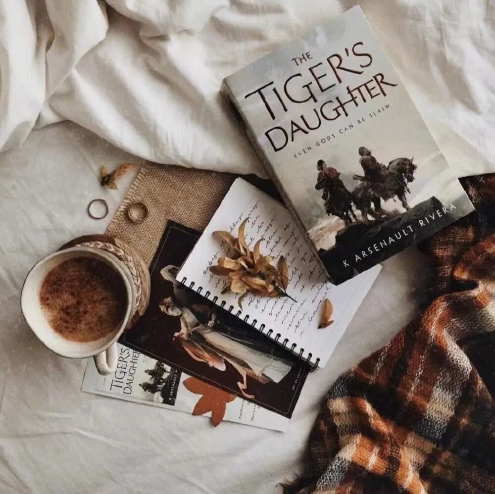 餐厅氛围感背景图,纯粉背景图氛围感