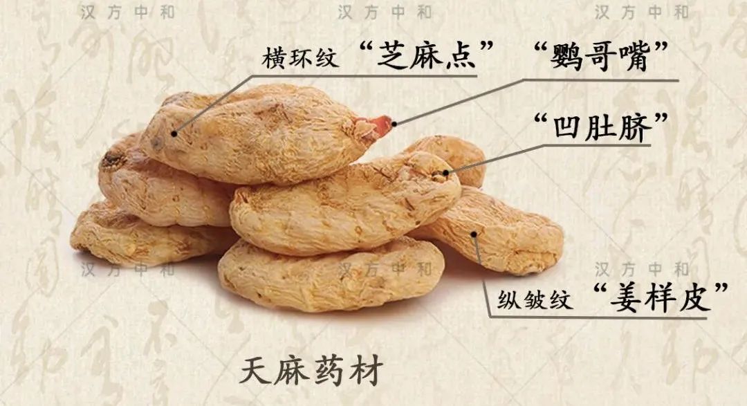 怎么分辨真天麻和假天麻,如何辨别真假天麻