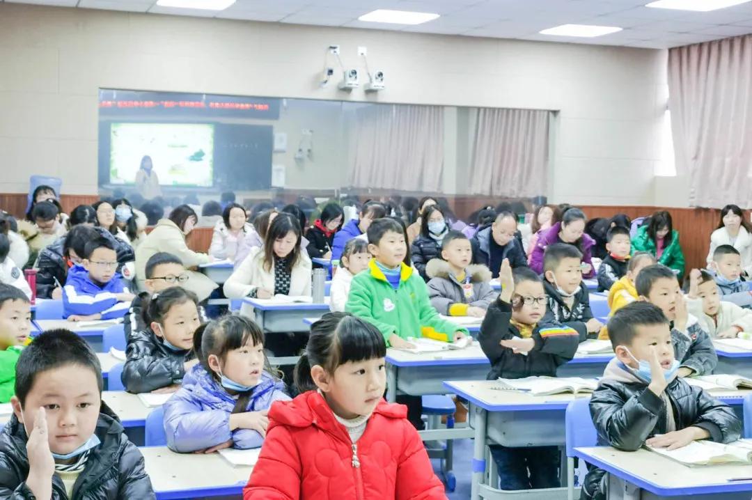 双减政策下如何开展小学科学教学,双减政策下的小学科学课堂