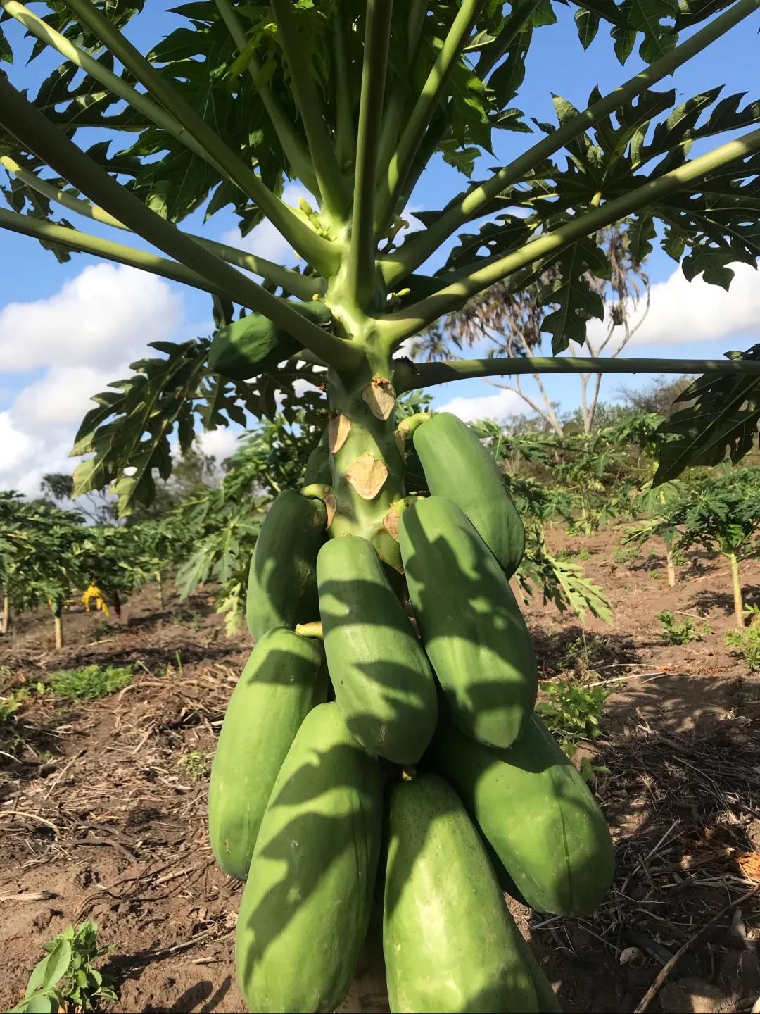 老汤创业,老汤生活记录