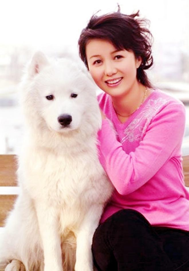 郑卫莉与赵君近况,郑卫莉和赵君是什么关系