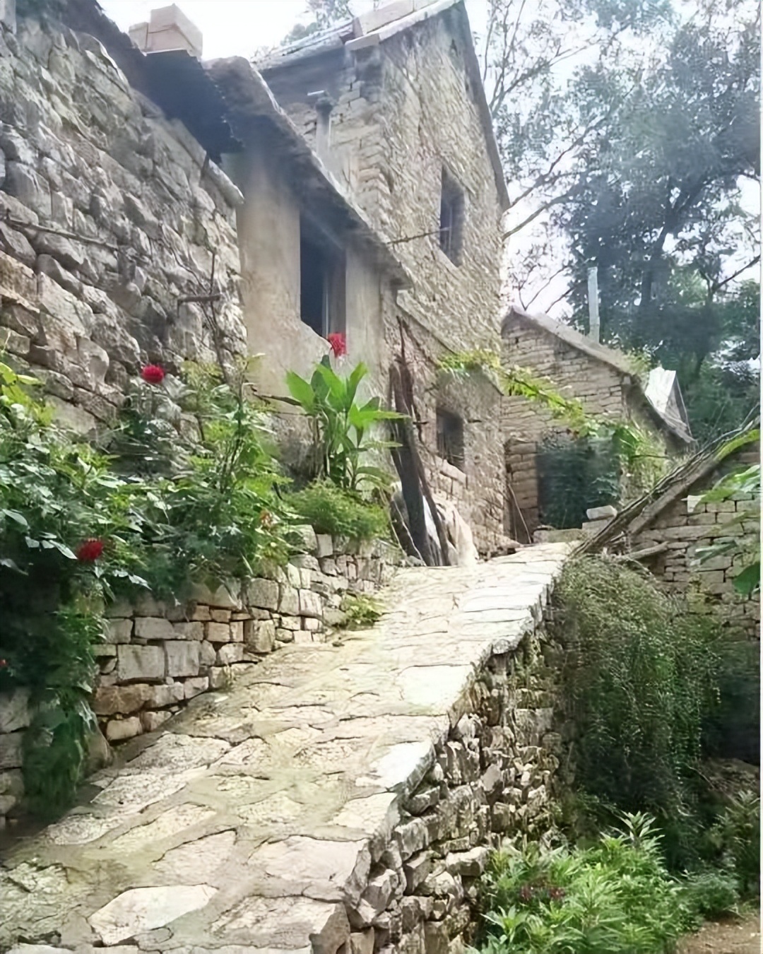 莱芜樱桃文化节,莱芜樱桃文化旅行节