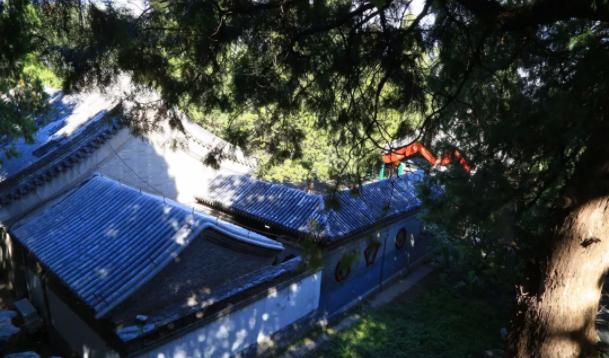 红色印记薪火传承,红色印记传承革命精神