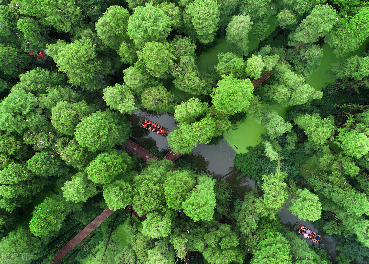 新时代家庭家教家风家训,新时代家庭家教家风建设的重点