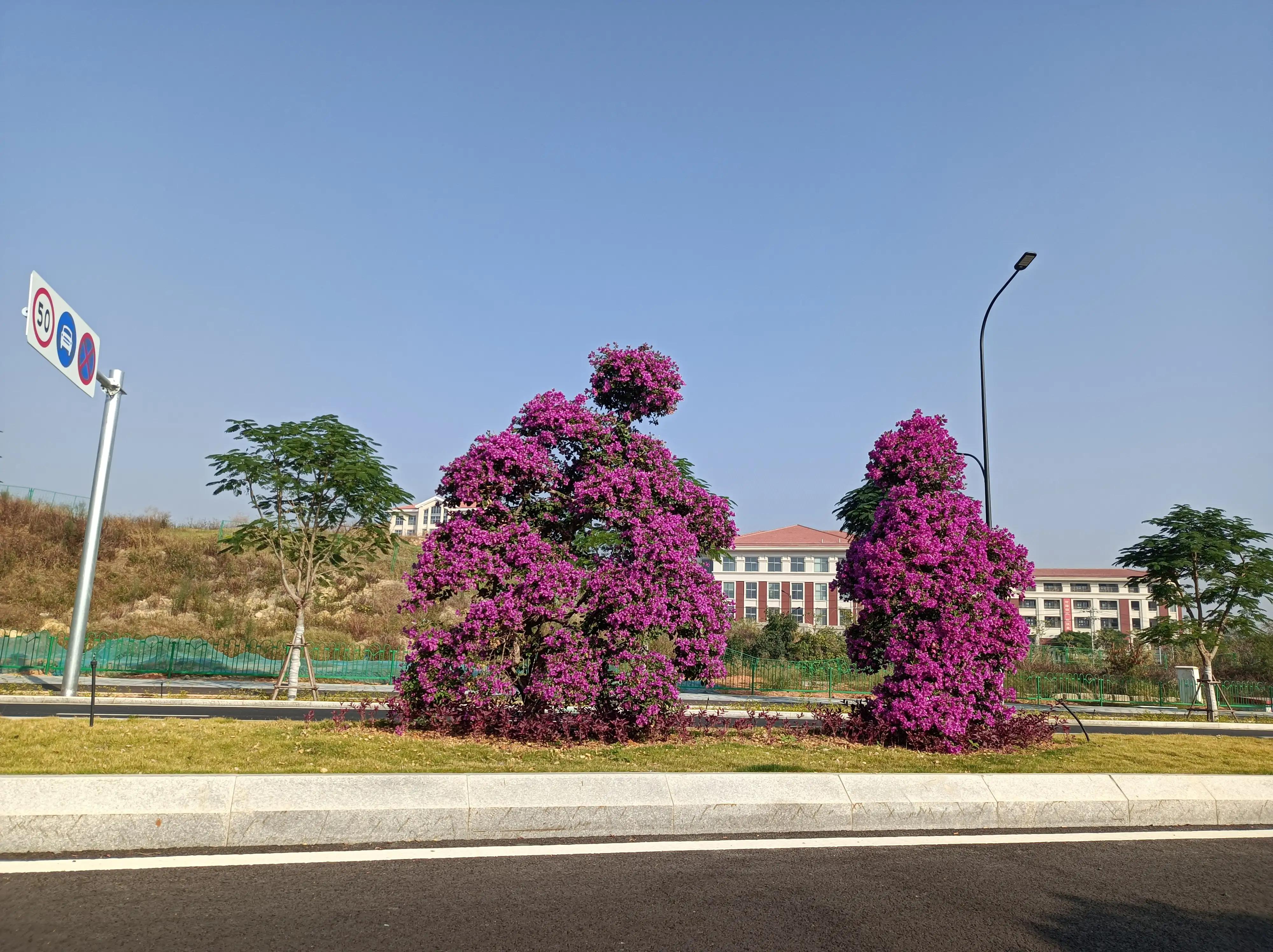 大叔最后的任性《世界杯少年心》