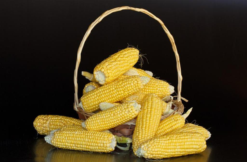 甜糯玉米到底哪款好吃,甜玉米和糯玉米哪个营养价值高