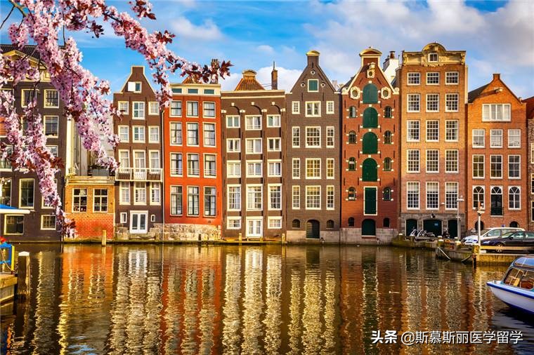 荷兰阿姆斯特丹大学,荷兰阿姆斯特丹简介
