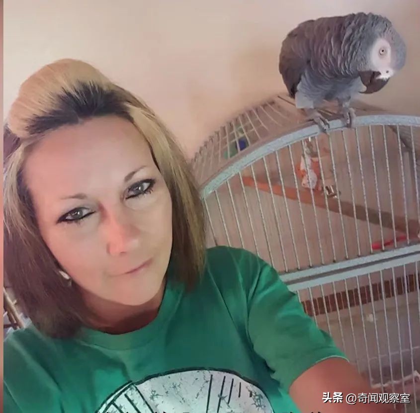 头中两枪不死的奇人,凶手隐藏得天衣无缝却被鹦鹉拆穿