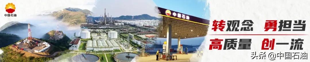 9519630接听收费吗,95580接听时间