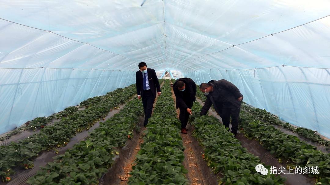 【谁不说咱郯城好】郯城：1.56亿元创业担保*款贷**“贷”动创业稳就业