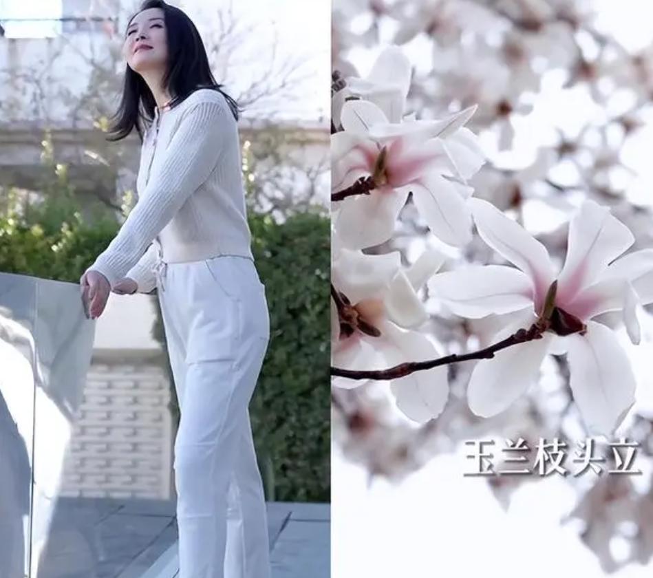 43岁王艳素颜现身,46岁王艳素颜露面