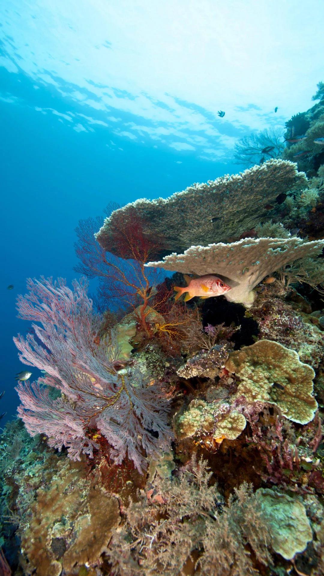 大海壁纸明亮,大海壁纸