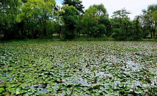 贵州避暑古镇旅游攻略,贵州花溪避暑