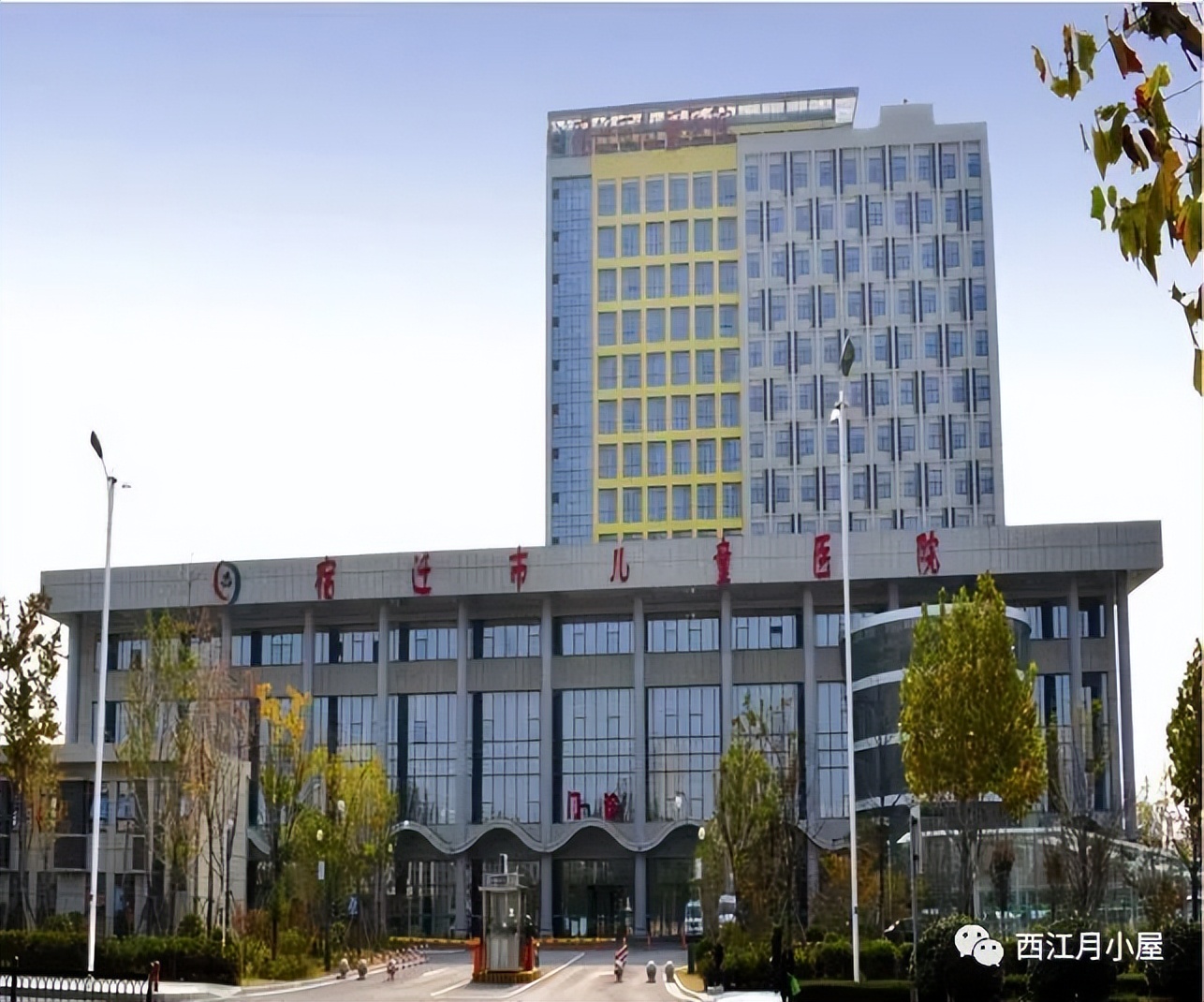 疫情期间与你同行,与你同行疫情作文