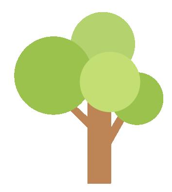 只有南京才有的树,树是南京树