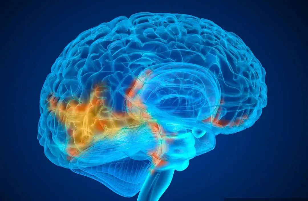 为啥肺癌易转移到肾上腺,小细胞肺癌脑转移还有必要治疗吗