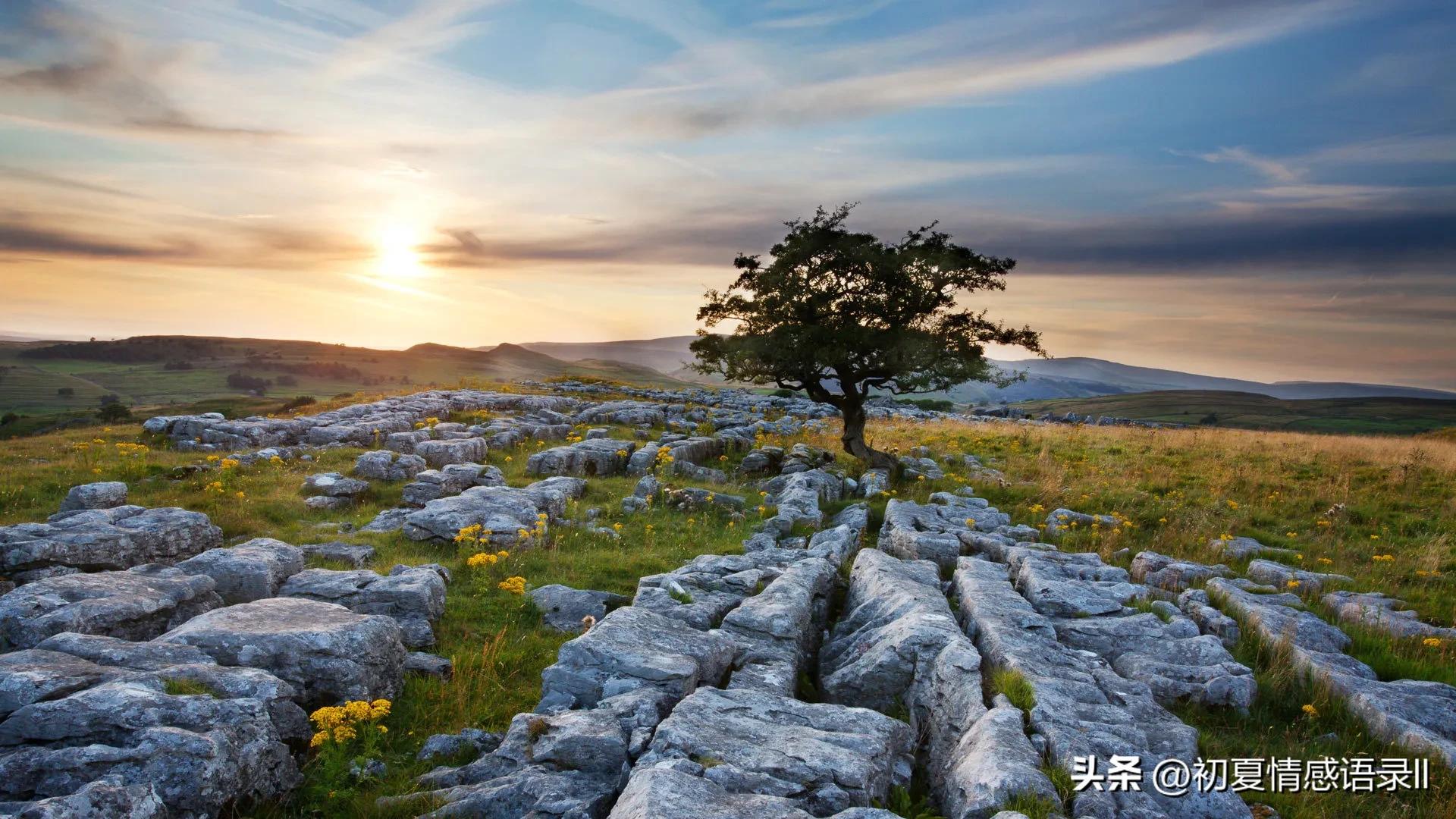 人生哲理短句18条超现实深度好文,人生比较有哲理的句子句句精辟