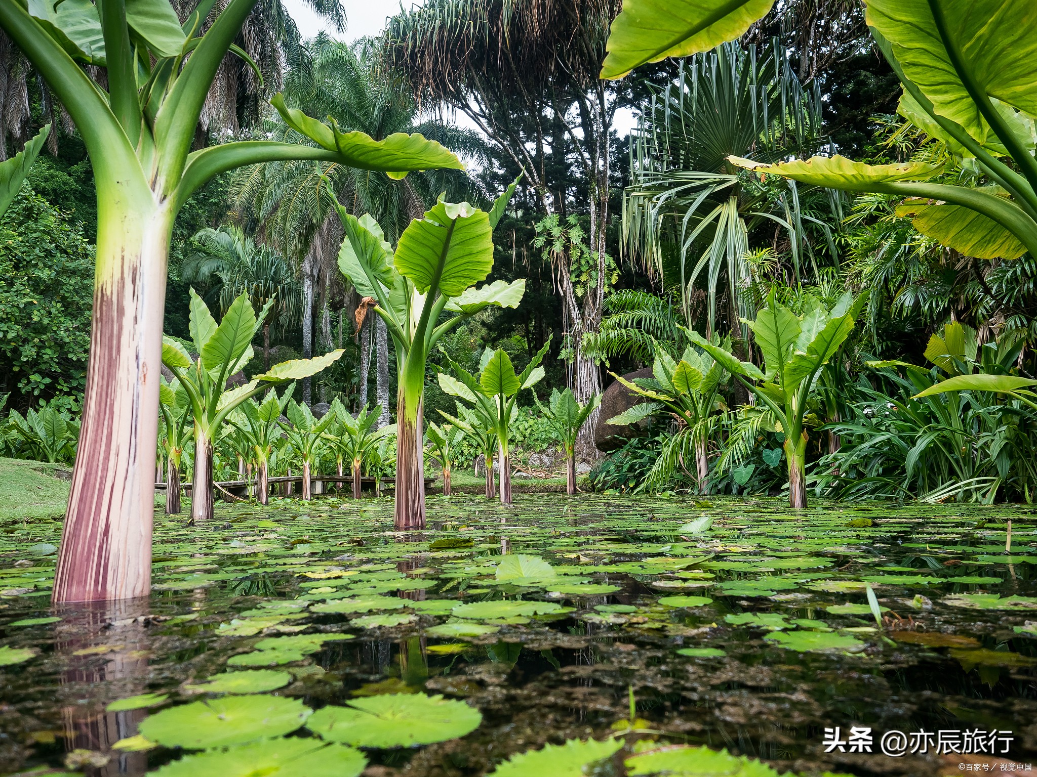 海南冬天旅游十大必去景点,海南旅游最佳景点推荐自驾游