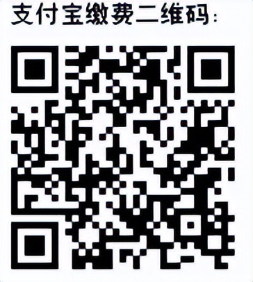 2023年罗庄区养老保险增加多少,临沂2020年养老医疗缴费时间