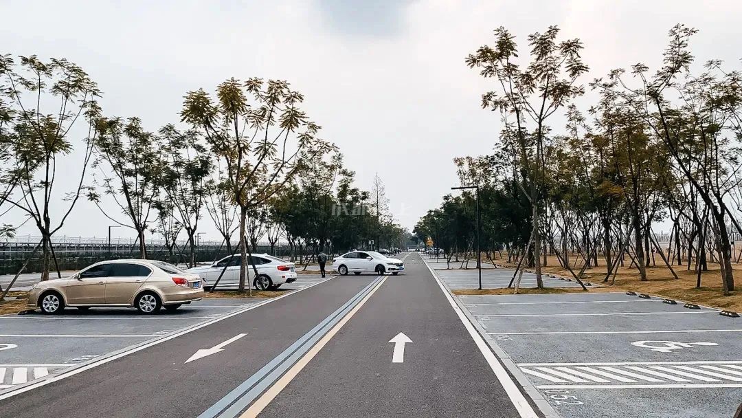 成都成华城东体育公园,成都成华体育公园