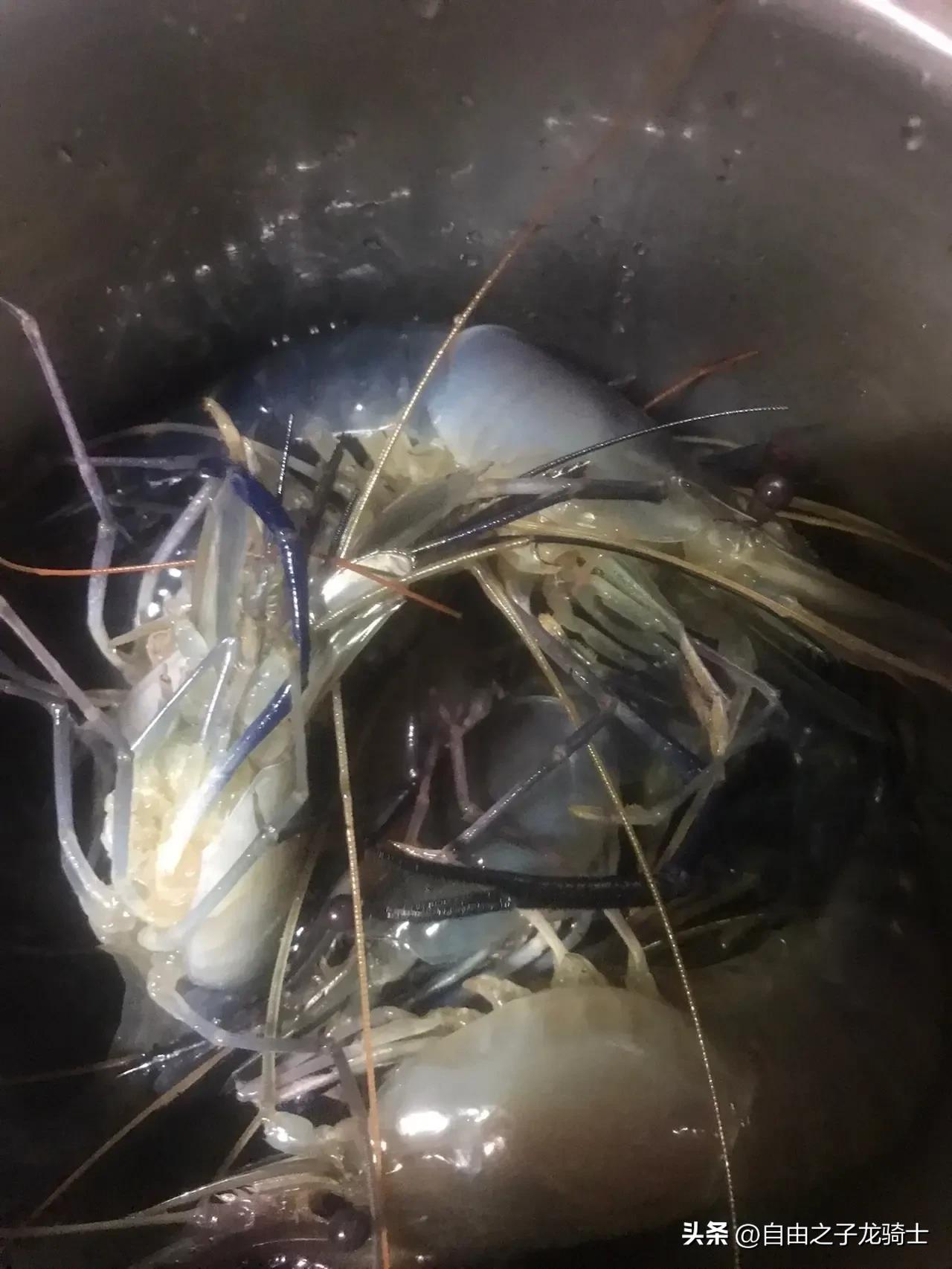 40岁一无所有的男人,35岁以上的男人一无所有