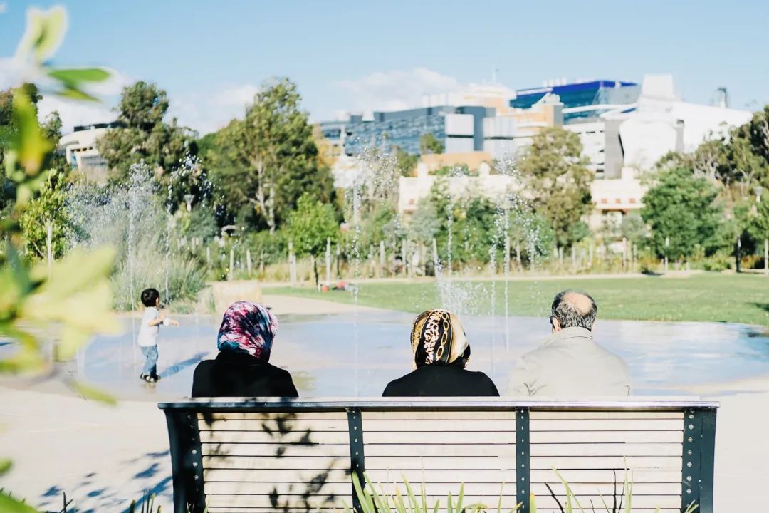 好玩的自由建造动物园游戏,狂野大自然游戏